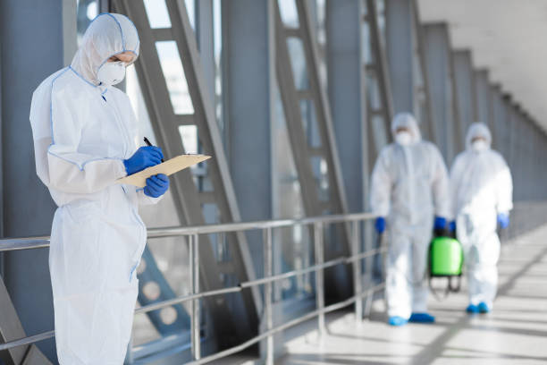 Best Basement Mold Removal  in Red Bank, SC