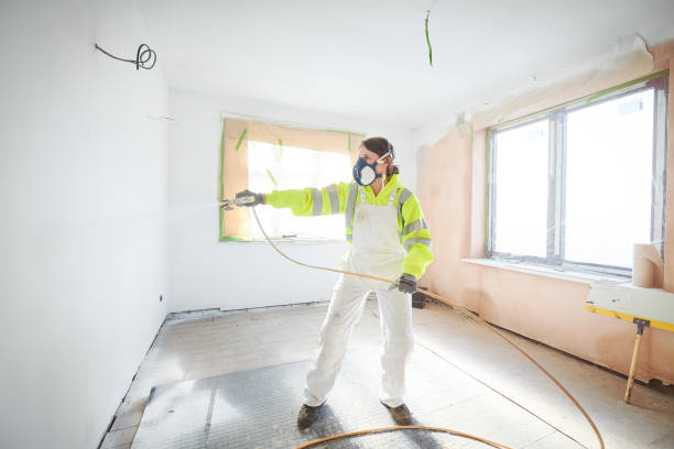Best Black Mold Removal  in Red Bank, SC