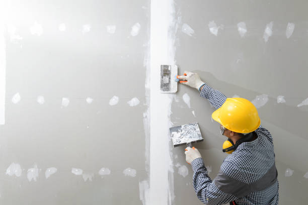 Best Environmental Consulting for Mold Prevention  in Red Bank, SC