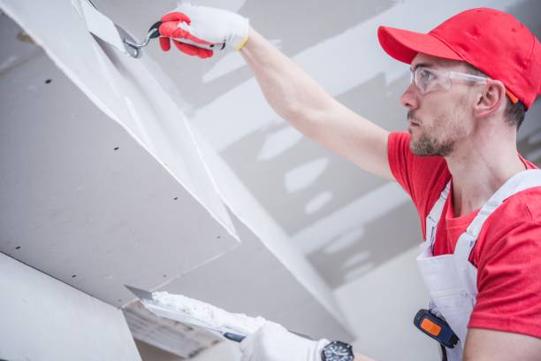 Best Real Estate Mold Inspection  in Red Bank, SC